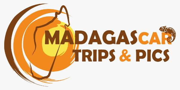 Madagascartripsandpics Logo