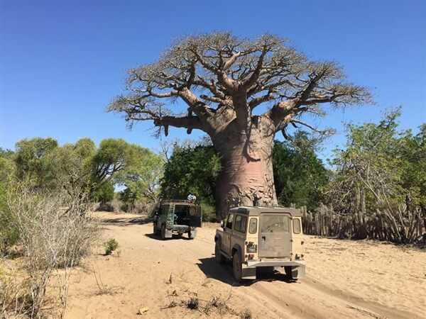 Land-Rover-Pracht-der-Pisten